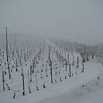 Farmház San Martino Langhe
