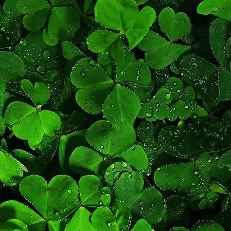 San Martino Langhe * Clavesana