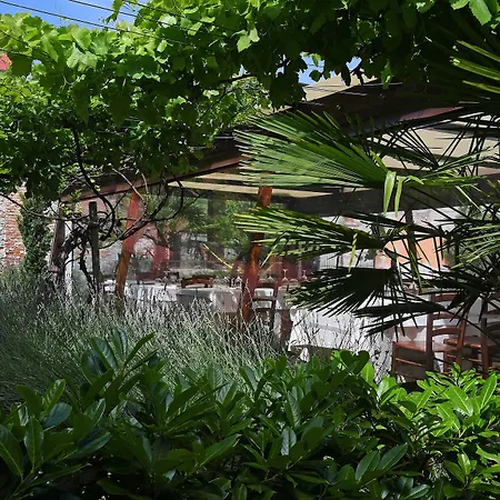 San Martino Langhe Clavesana