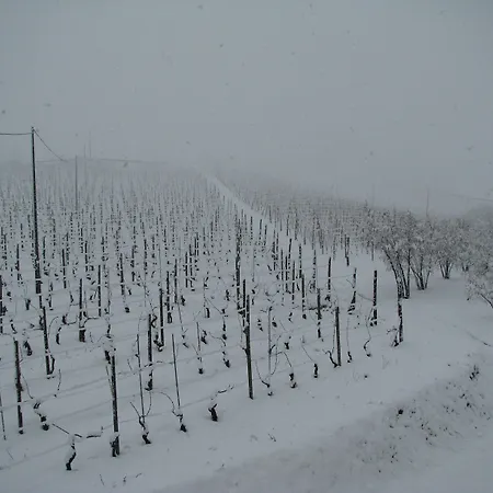Gospodarstwo agroturystyczne San Martino Langhe