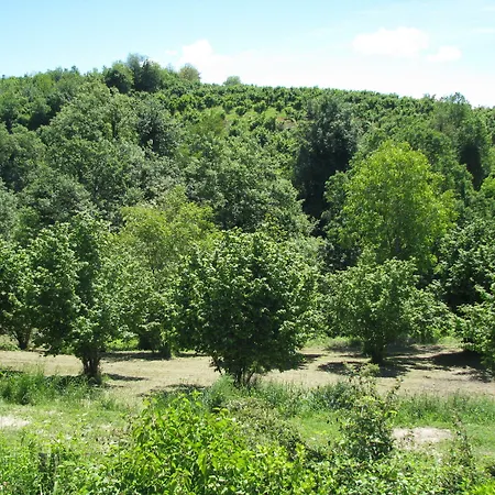Gospodarstwo agroturystyczne San Martino Langhe