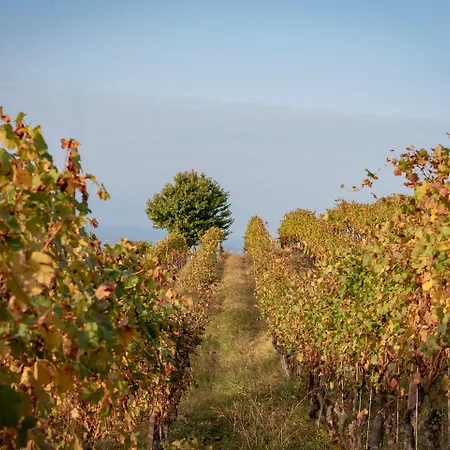 Séjour à la ferme San Martino Langhe Clavesana