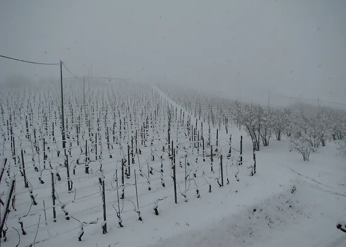 ファームステイ San Martino Langhe